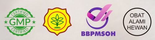 WhatsApp-Image-2022-08-03-at-14.24.09